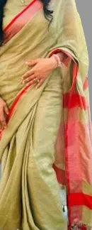 Woman wearing a green saree with red border outdoors